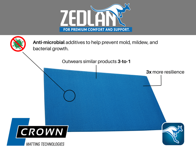 Zedlan Infographic (1)