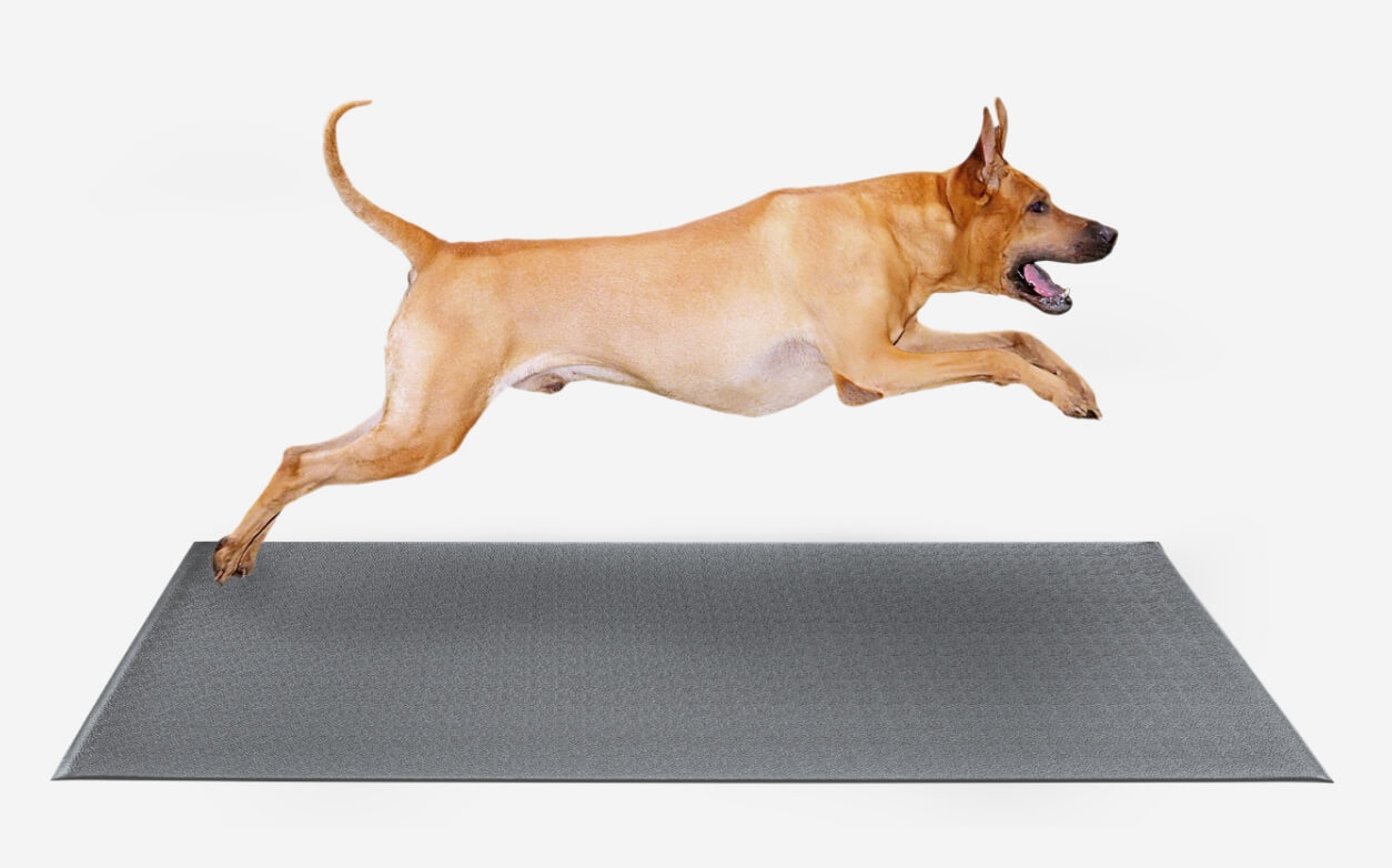 agility matting