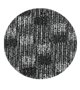 terra nova WEB3